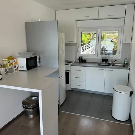 Beautiful Houseboat On The Sava River * Belgrad